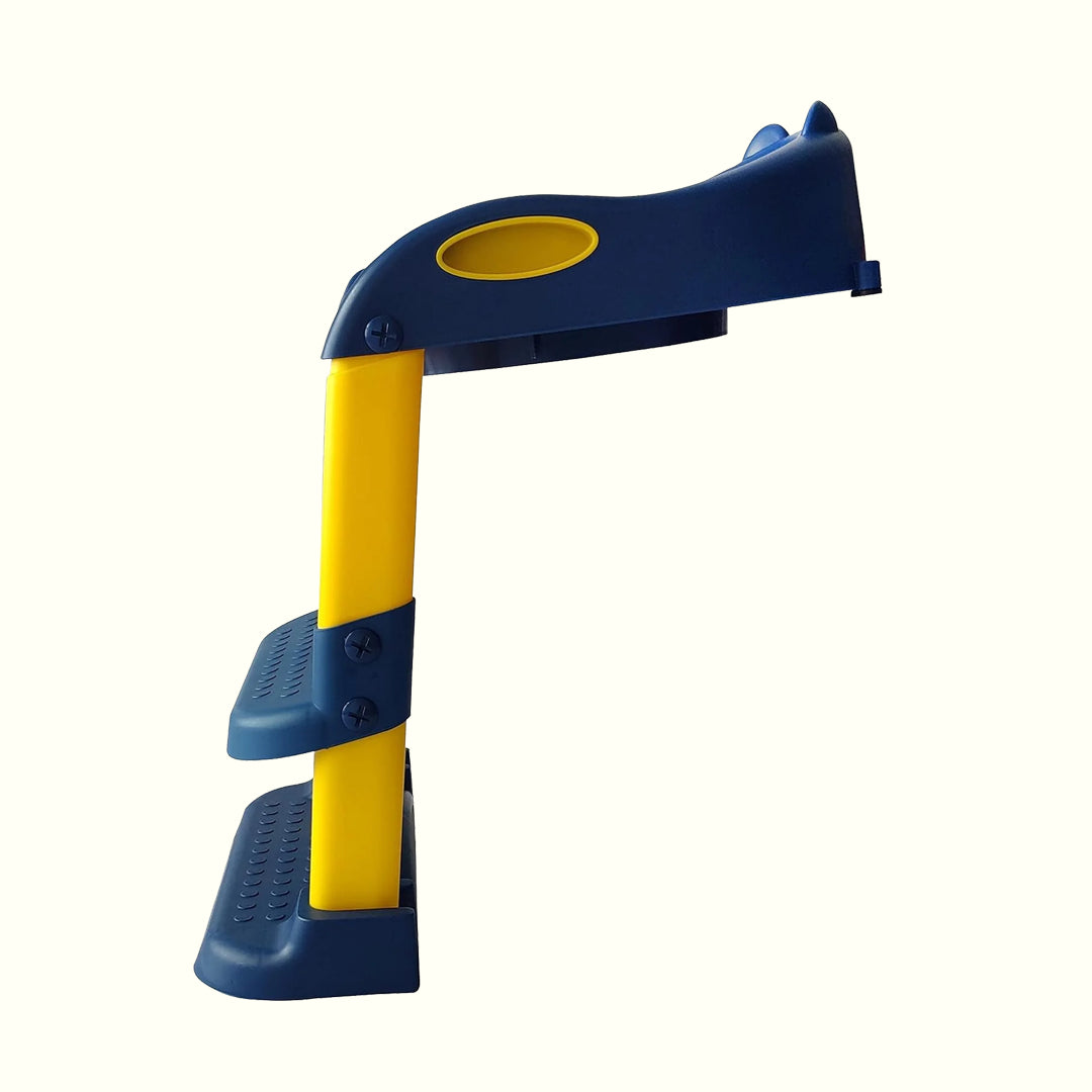 Blue Potty with Ladder