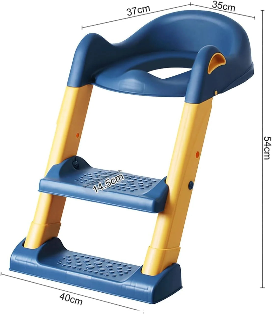 Blue Potty with Ladder